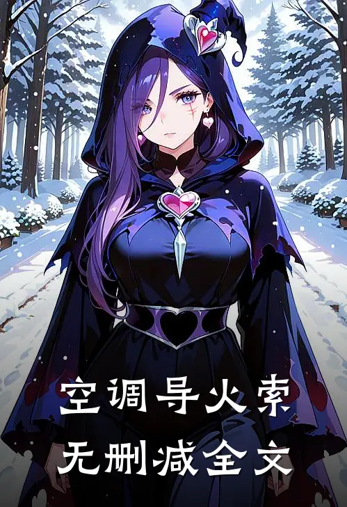 空调导火索无删减全文