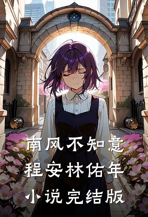 南风不知意程安林佑年小说完结版