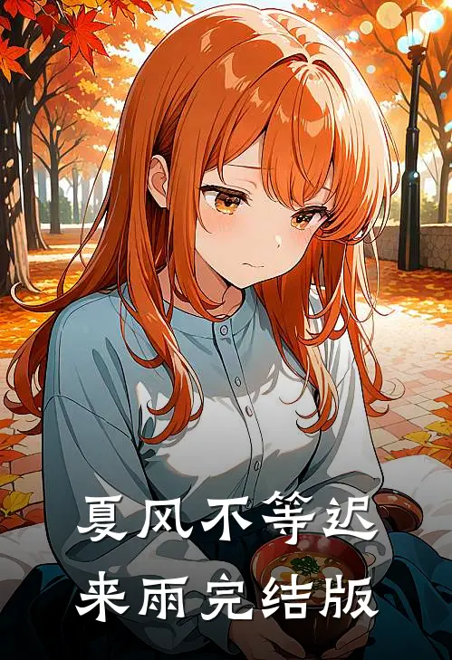 夏风不等迟来雨完结版