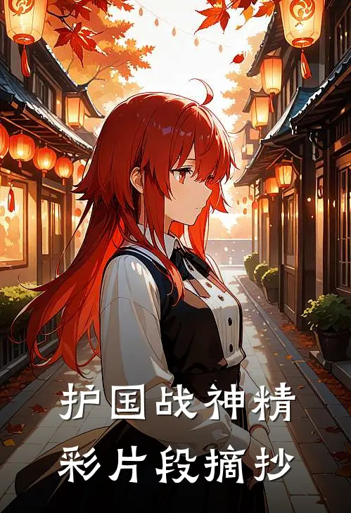 护国战神精彩片段摘抄