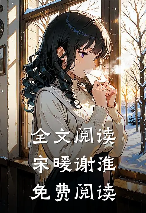 全文阅读宋暖谢淮免费阅读
