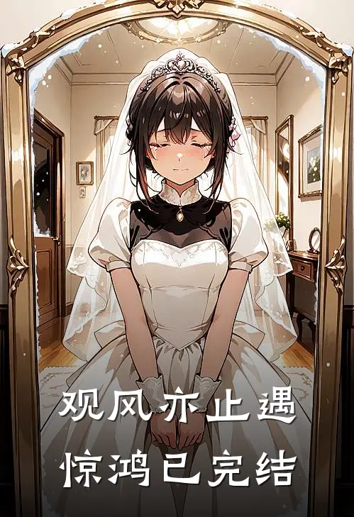 观风亦止遇惊鸿已完结