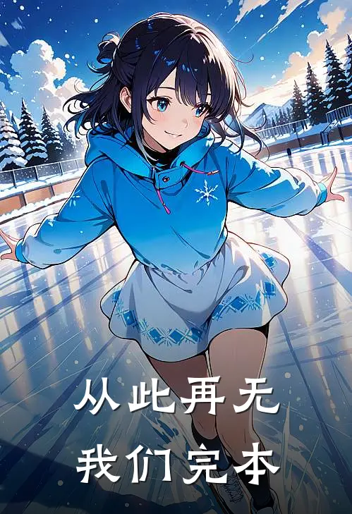 从此再无我们完本