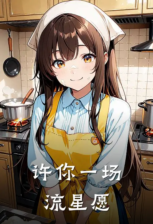 许你一场流星愿