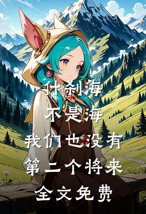 什刹海不是海，我们也没有第二个将来全文免费