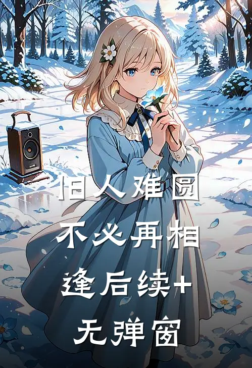 旧人难圆，不必再相逢后续+无弹窗