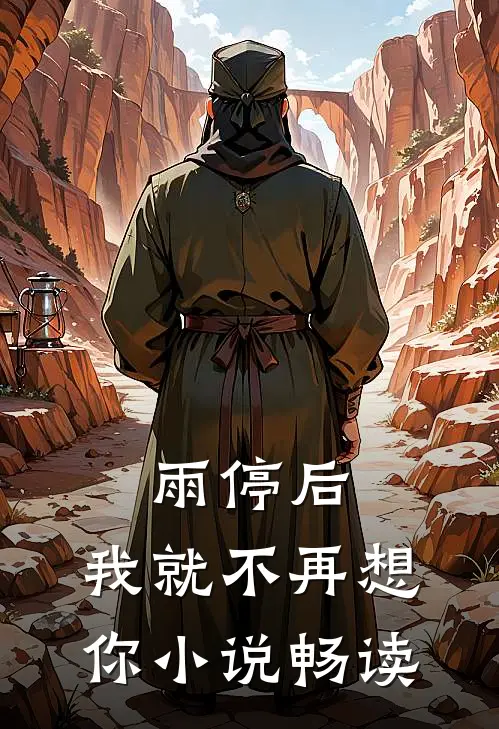 雨停后，我就不再想你小说畅读