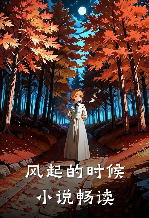 风起的时候小说畅读