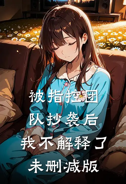 被指控团队抄袭后，我不解释了未删减版