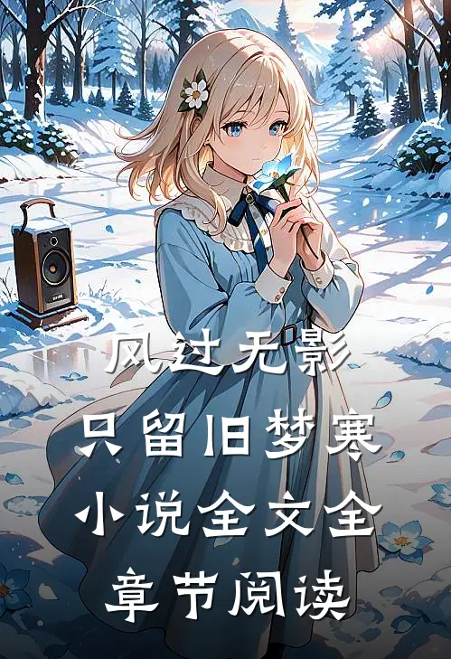 风过无影，只留旧梦寒小说全文全章节阅读