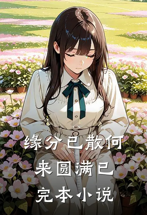 缘分已散何来圆满已完本小说
