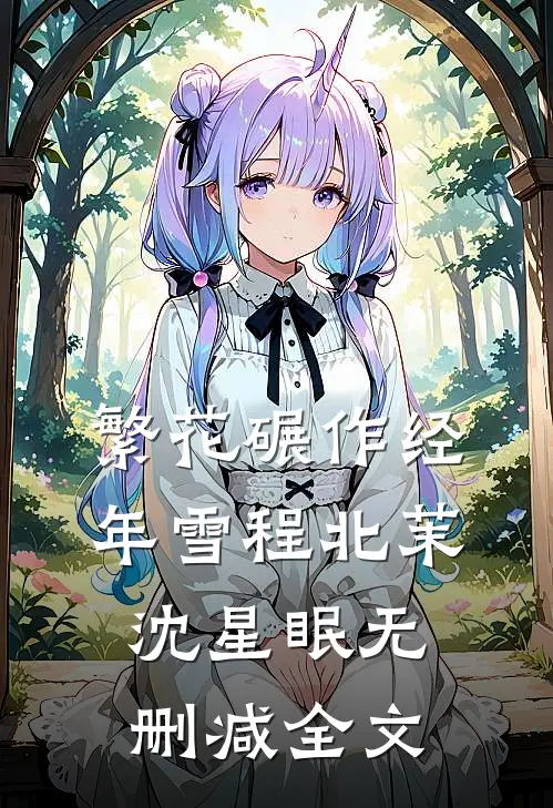 繁花碾作经年雪程北茉沈星眠无删减全文