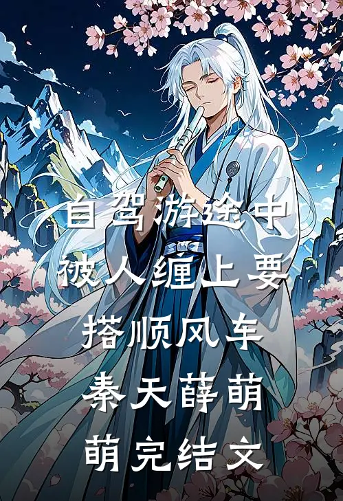 自驾游途中，被人缠上要搭顺风车秦天薛萌萌完结文