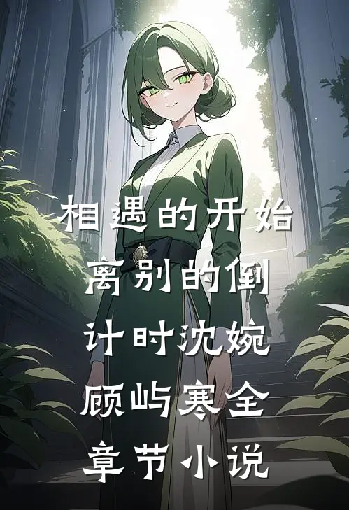 相遇的开始，离别的倒计时沈婉顾屿寒全章节小说