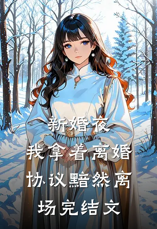 新婚夜，我拿着离婚协议黯然离场完结文