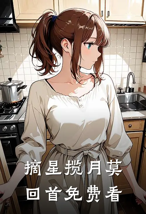 摘星揽月莫回首免费看