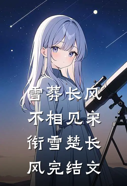 雪葬长风不相见宋衔雪楚长风完结文