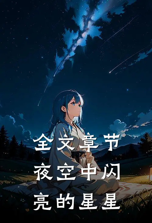 全文章节夜空中闪亮的星星