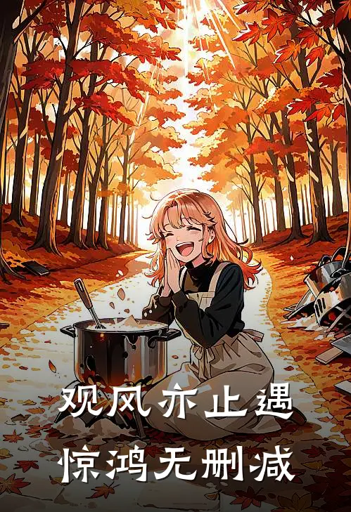 观风亦止遇惊鸿无删减