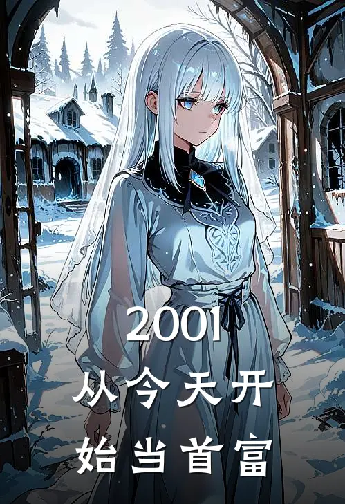 2001：从今天开始当首富