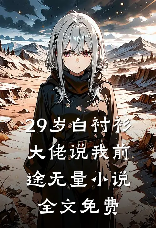 29岁白衬衫，大佬说我前途无量小说全文免费