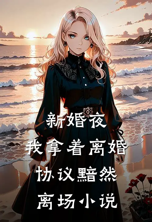 新婚夜，我拿着离婚协议黯然离场小说
