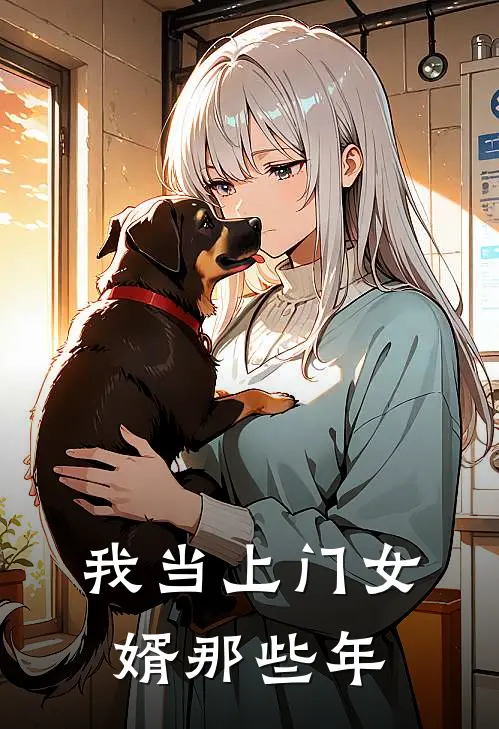 我当上门女婿那些年
