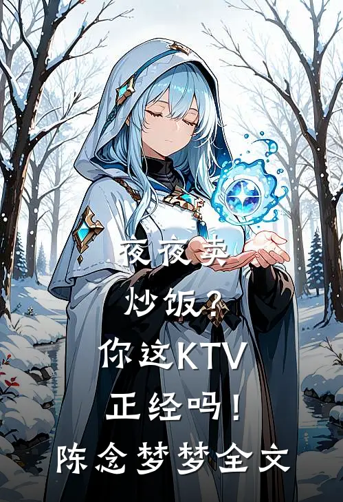 夜夜卖炒饭？你这KTV正经吗！陈念梦梦全文