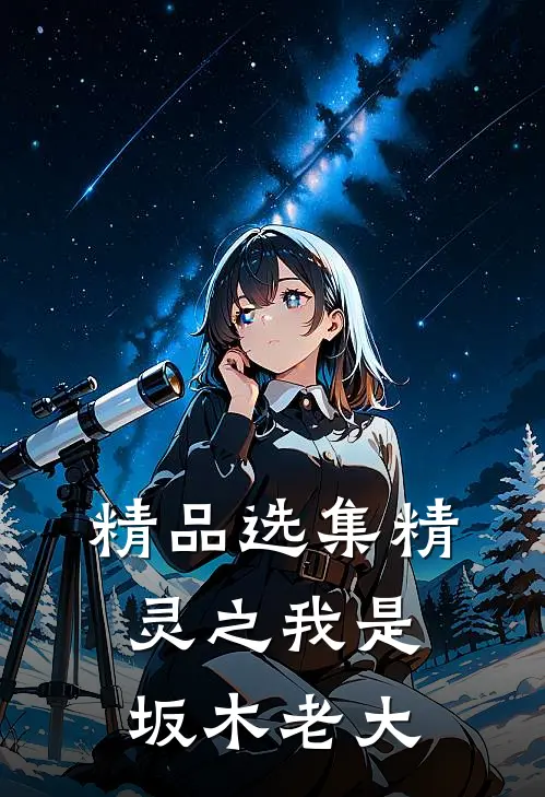 精品选集精灵之我是坂木老大