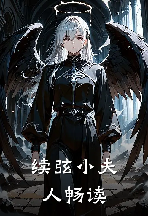 续弦小夫人畅读