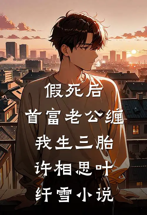 假死后，首富老公缠我生三胎许相思叶纤雪小说