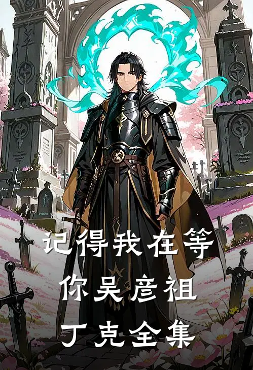 记得我在等你吴彦祖丁克 全集