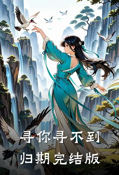 寻你寻不到归期完结版