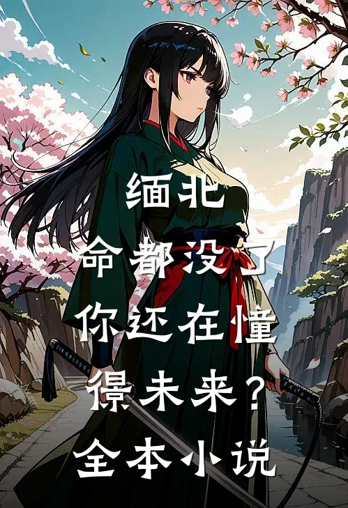 缅北：命都没了，你还在憧憬未来？全本小说