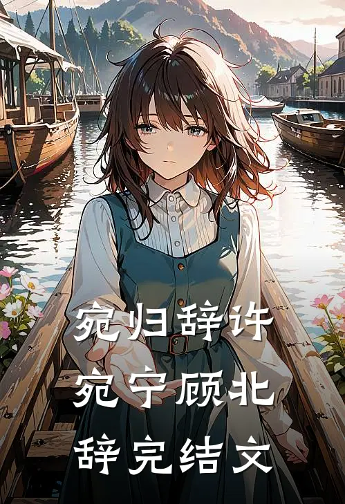 宛归辞许宛宁顾北辞完结文