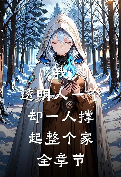 我，透明人一个，却一人撑起整个家全章节