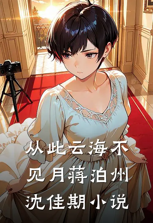 从此云海不见月蒋泊州沈佳期小说