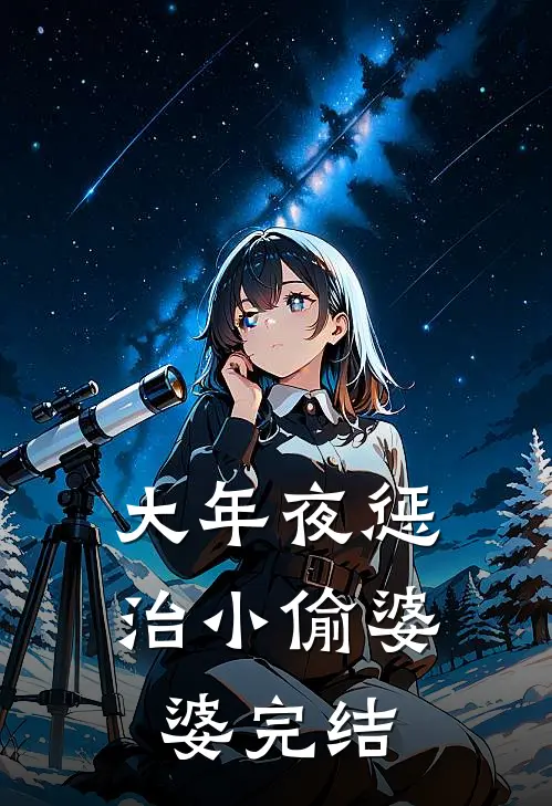 大年夜惩治小偷婆婆完结