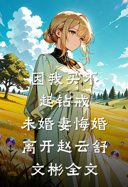 因我买不起钻戒，未婚妻悔婚离开赵云舒文彬全文