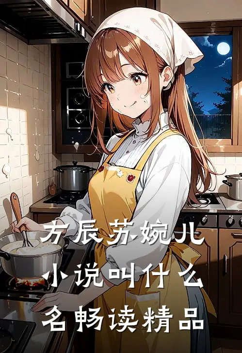 方辰苏婉儿小说叫什么名畅读精品