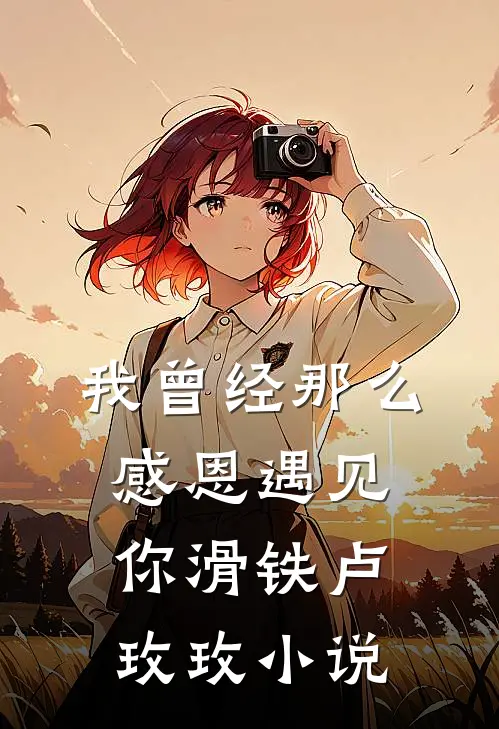 我曾经那么感恩遇见你滑铁卢玫玫小说