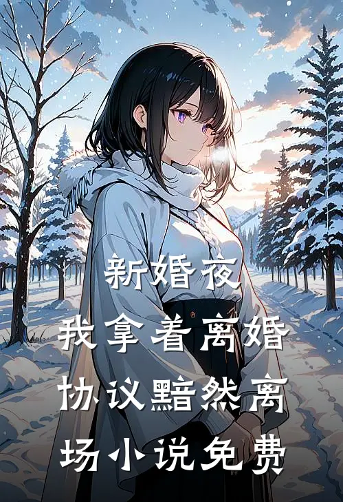 新婚夜，我拿着离婚协议黯然离场小说免费