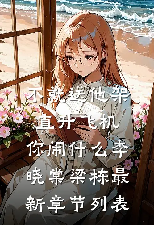 不就送他架直升飞机，你闹什么李晓棠梁栋最新章节列表