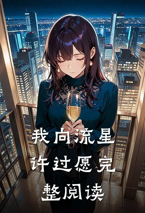 我向流星许过愿完整阅读
