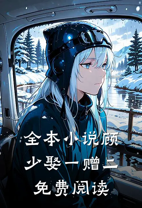 全本小说顾少娶一赠二免费阅读