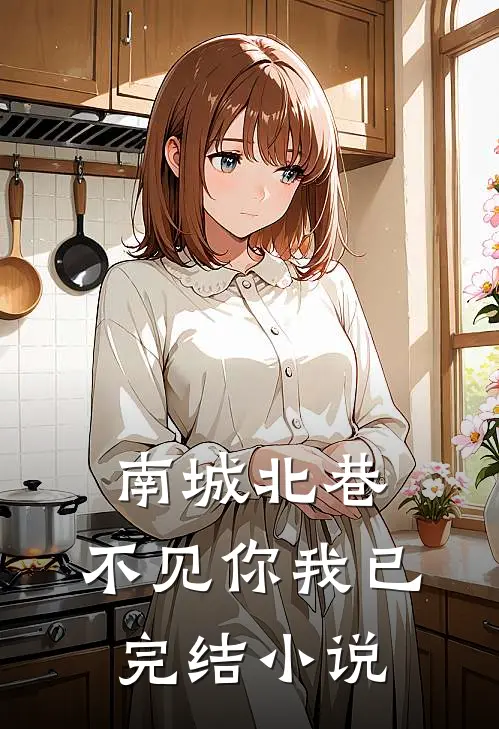 南城北巷,不见你我已完结小说