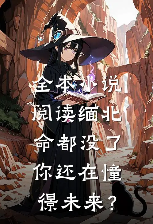 全本小说阅读缅北：命都没了，你还在憧憬未来？