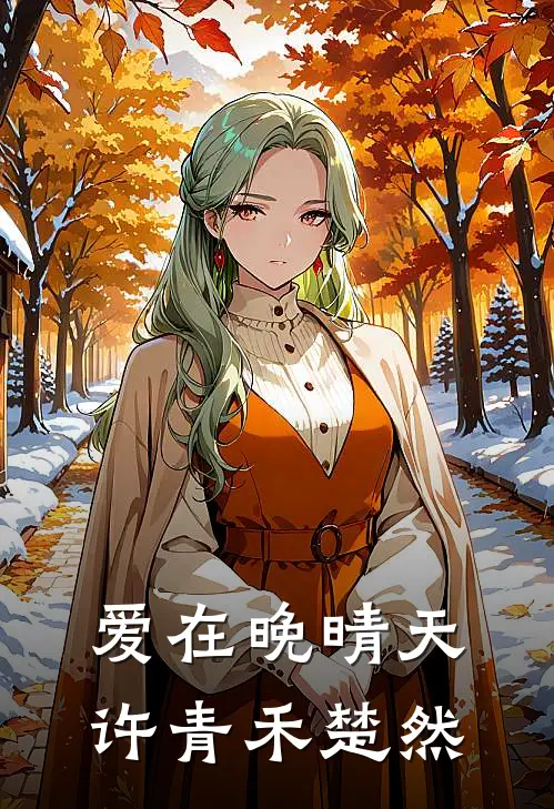 爱在晚晴天许青禾楚然