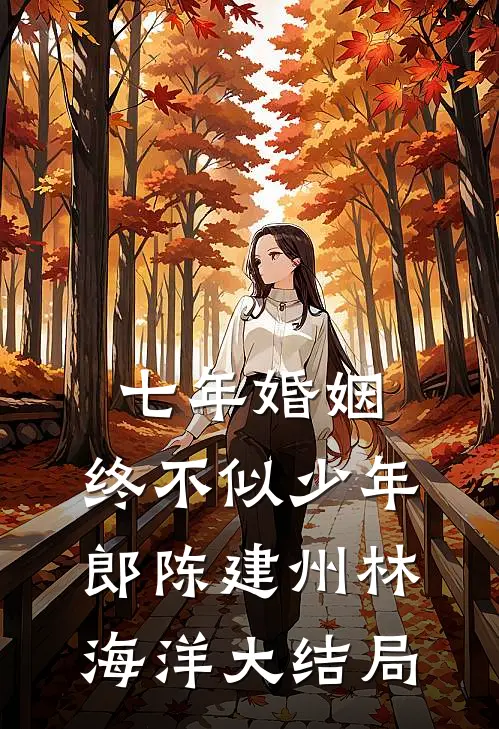 七年婚姻，终不似少年郎陈建州林海洋大结局
