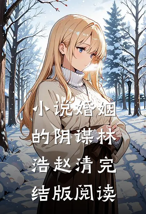 小说婚姻的阴谋林浩赵清完结版阅读